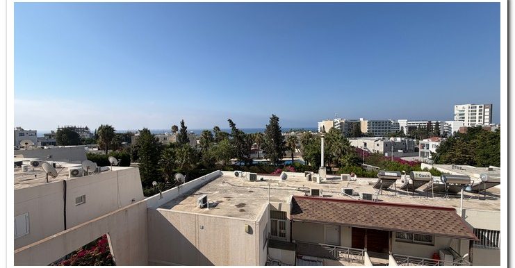 MARINA COURT MAMMOUTH (36)