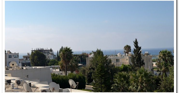 MARINA COURT MAMMOUTH (4)