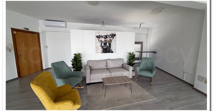 MARIOS IRAKLEOUS OFFICE KINNIS (16)