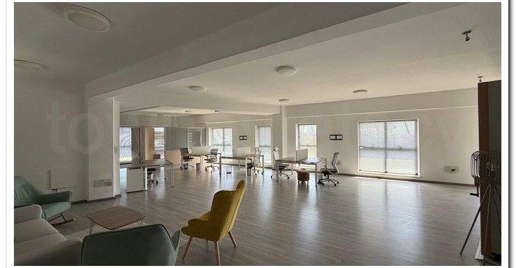 MARIOS IRAKLEOUS OFFICE KINNIS (25)