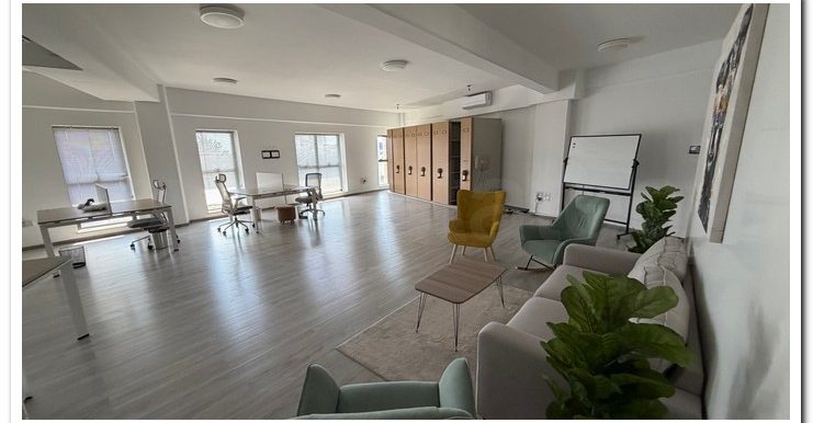 MARIOS IRAKLEOUS OFFICE KINNIS (7)