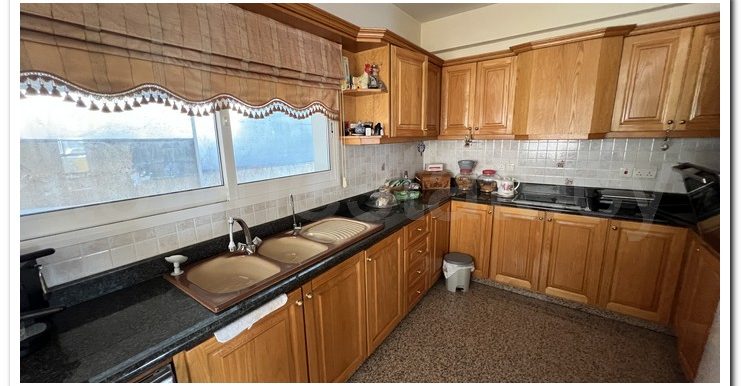 MESOLOGITOU AGIOS SILLAS (13)