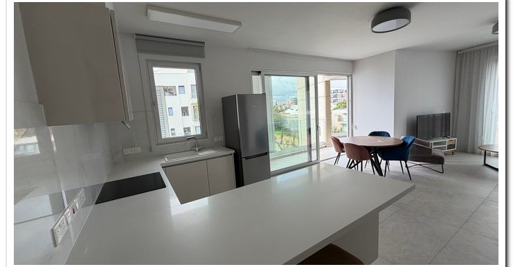 NEOFYTOS 3RD FLOOR WITH PENT (51)