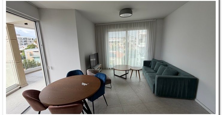 NEOFYTOS 3RD FLOOR WITH PENT (53)