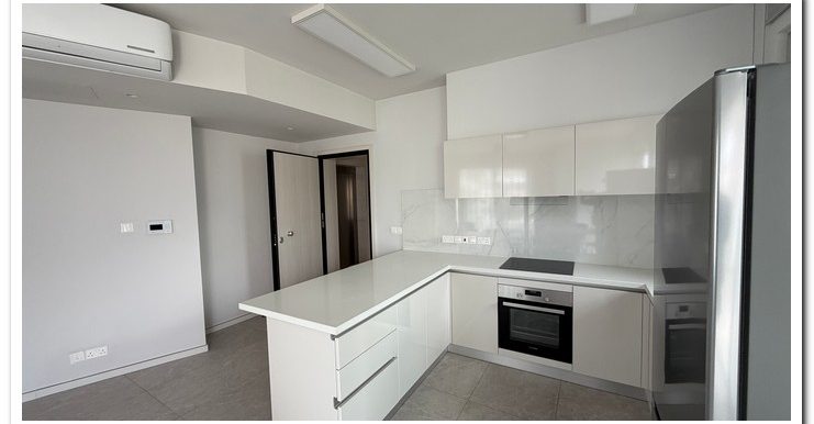 NEOFYTOS 3RD FLOOR WITH PENT (54)