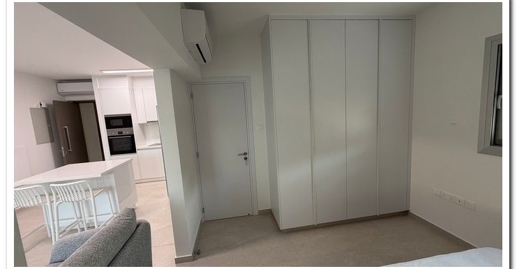 ONE BEDR FURNISHED (16)