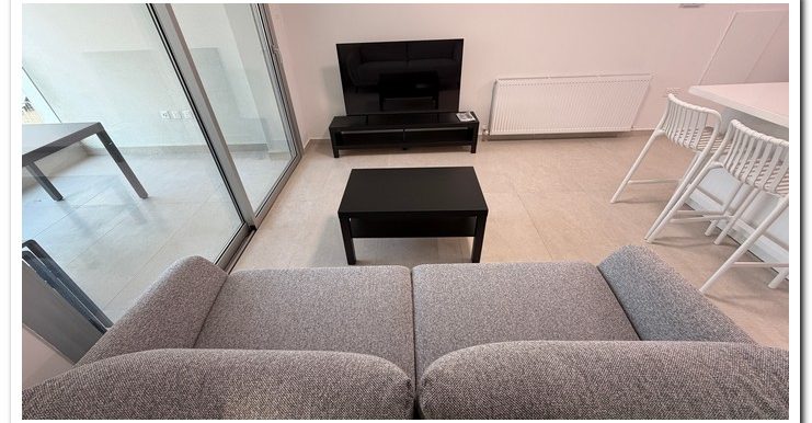 ONE BEDR FURNISHED (18)