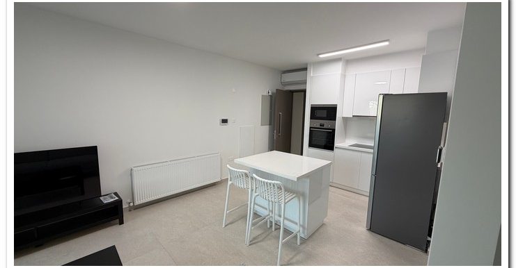 ONE BEDR FURNISHED (19)