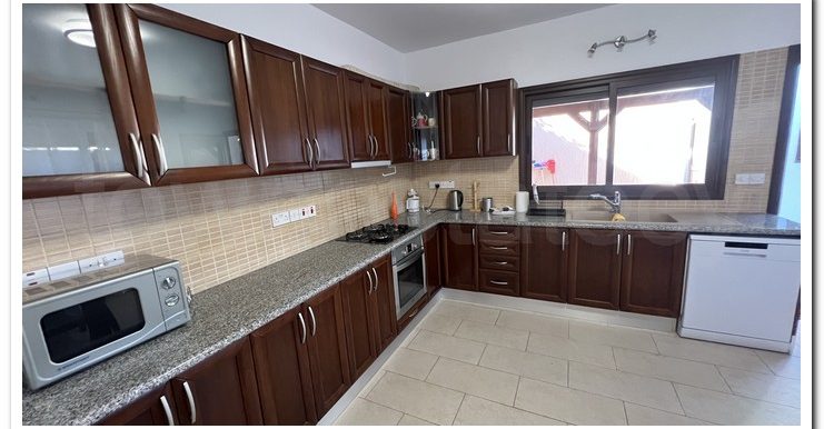 PALODIA ISRAEL (18)
