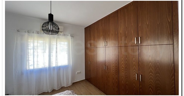 PALODIA ISRAEL (39)