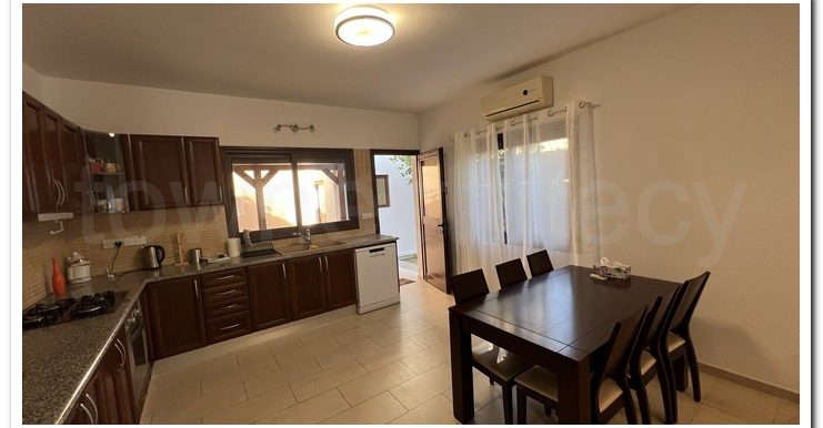 PALODIA ISRAEL (6)