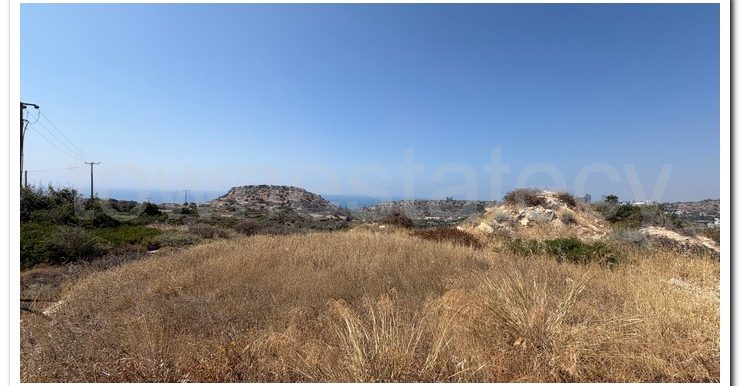 PANIKOS AG,TYCH (3)