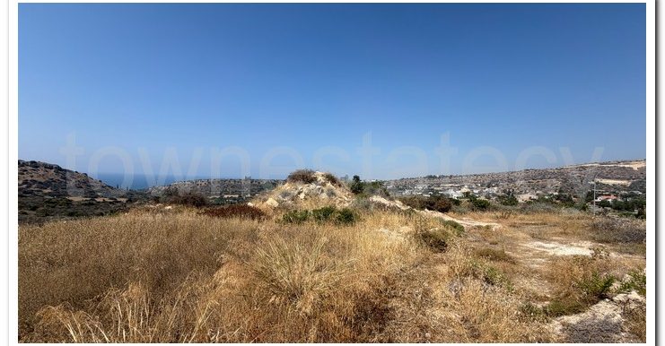 PANIKOS AG,TYCH (5)