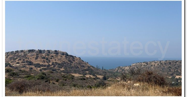PANIKOS AG,TYCH (6)