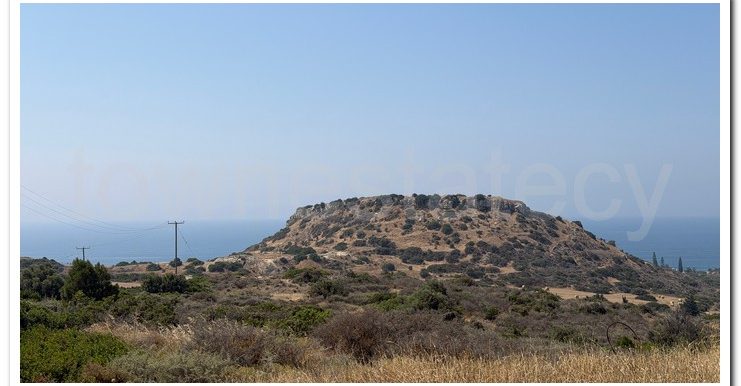 PANIKOS AG,TYCH (7)