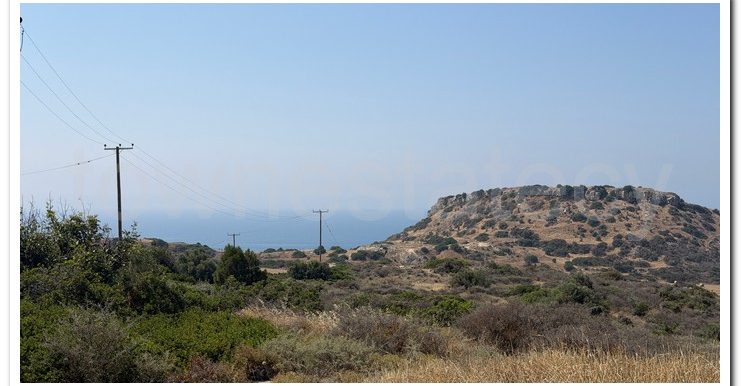 PANIKOS AG,TYCH (8)