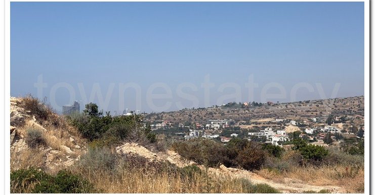 PANIKOS AG,TYCH (9)