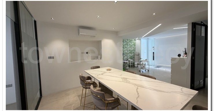 PANIKOS CUSIN WORK AREA (13)