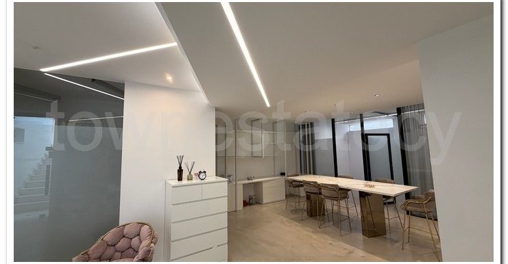 PANIKOS CUSIN WORK AREA (17)