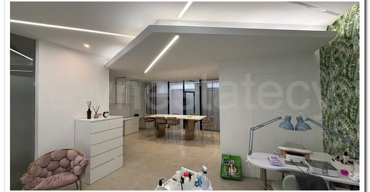 PANIKOS CUSIN WORK AREA (19)