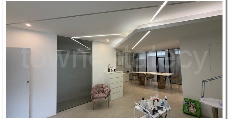 PANIKOS CUSIN WORK AREA (26)