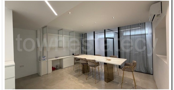 PANIKOS CUSIN WORK AREA (28)