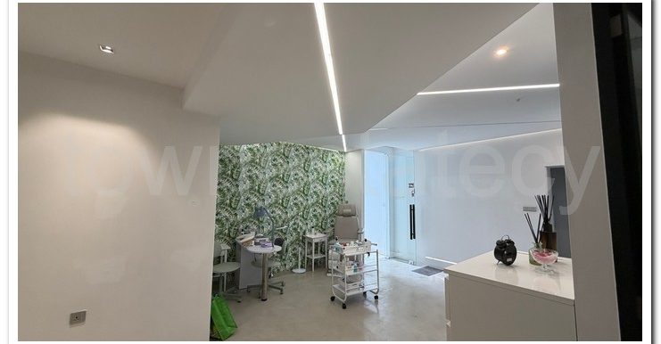 PANIKOS CUSIN WORK AREA (6)