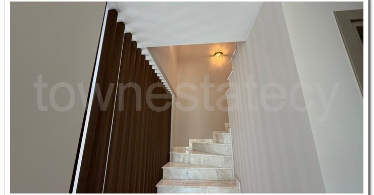 PANIKOS MONI VILLA (15)