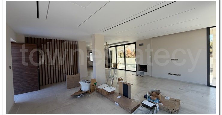 PANIKOS MONI VILLA (2)