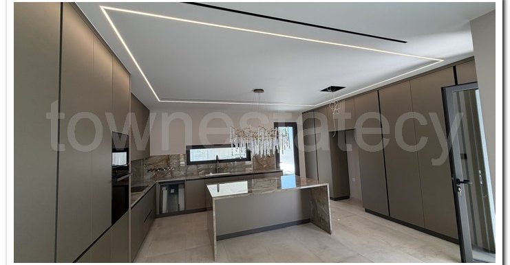 PANIKOS MONI VILLA (48)
