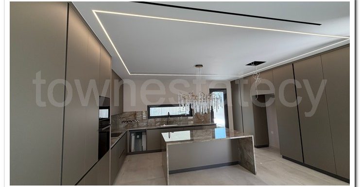 PANIKOS MONI VILLA (49)