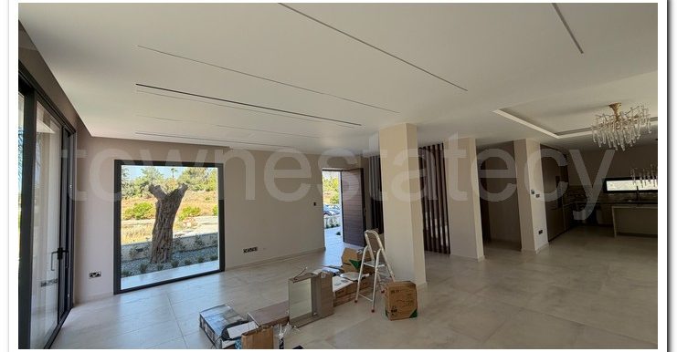 PANIKOS MONI VILLA (5)