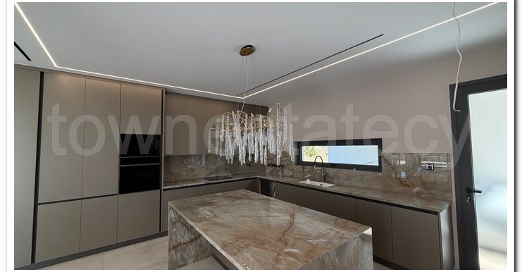 PANIKOS MONI VILLA (50)