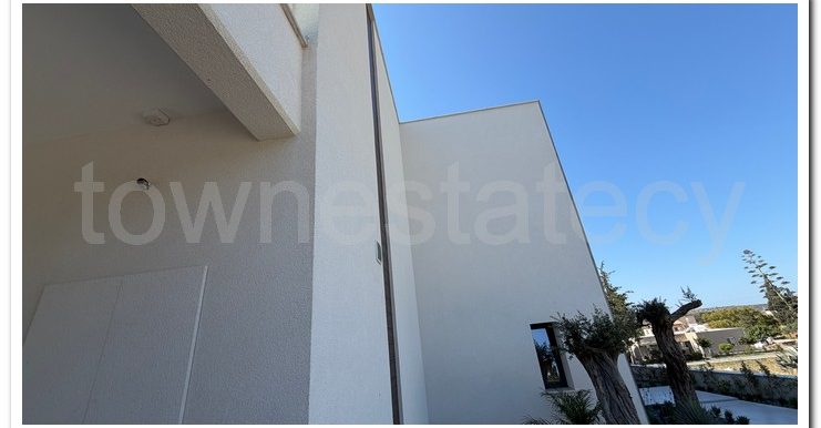 PANIKOS MONI VILLA (53)