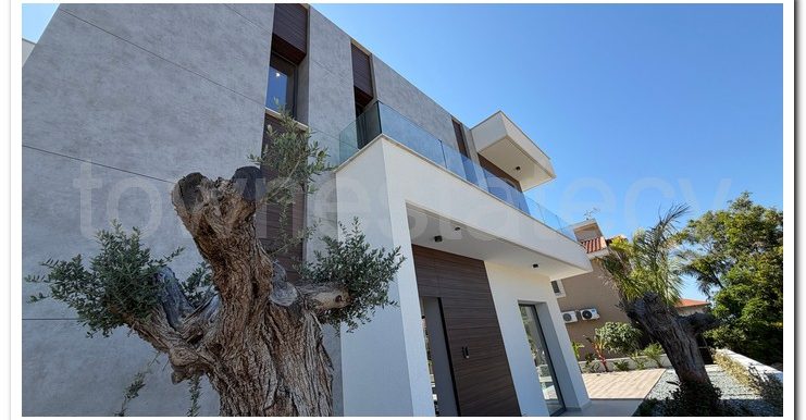 PANIKOS MONI VILLA (56)