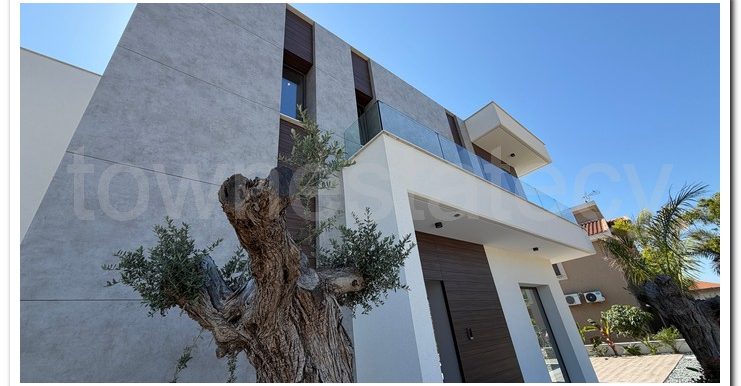 PANIKOS MONI VILLA (57)