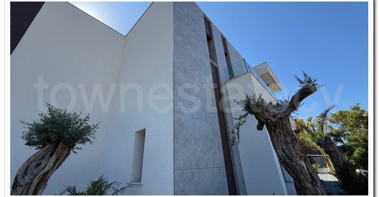 PANIKOS MONI VILLA (60)