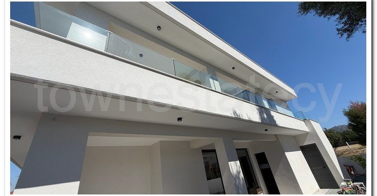 PANIKOS MONI VILLA (70)