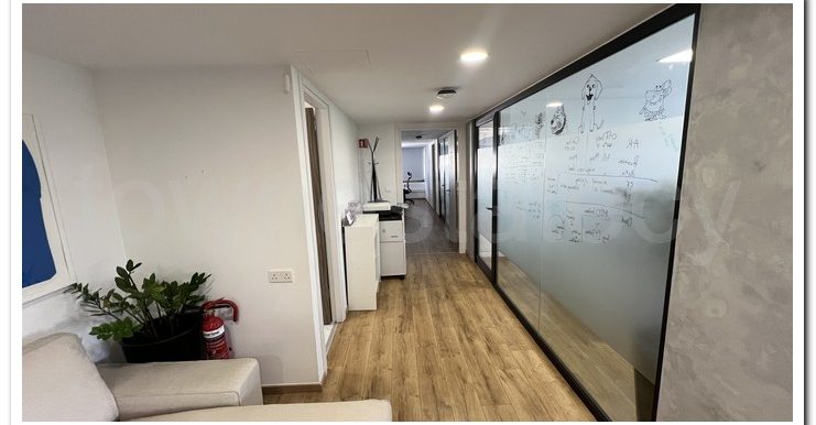 PANIKOS OFFICES NEXT IAPONAS ZOO (2)