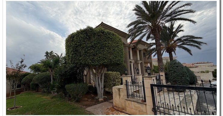 PANIKOS VILLA MESOVOUNIA (10)