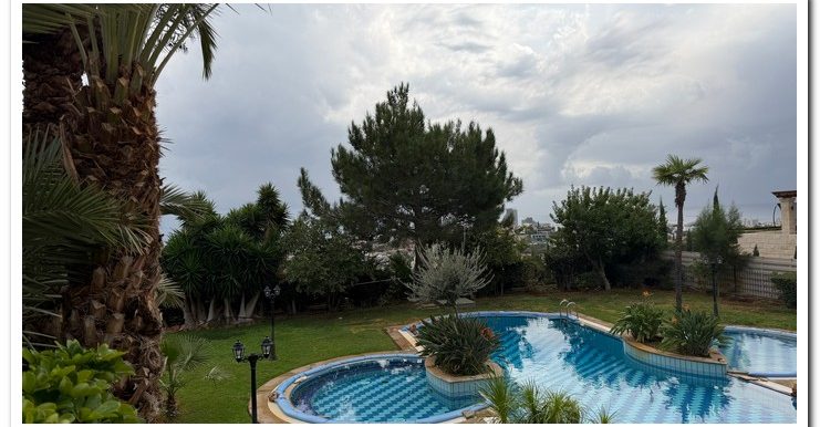 PANIKOS VILLA MESOVOUNIA (18)