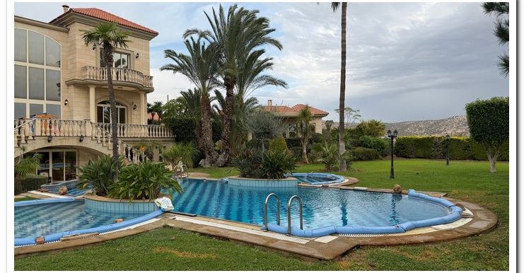 PANIKOS VILLA MESOVOUNIA (36)