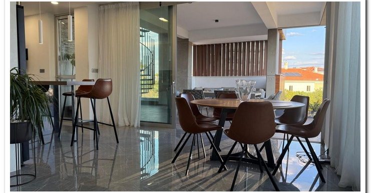 PANTHEA FOR SALE PENT (12)