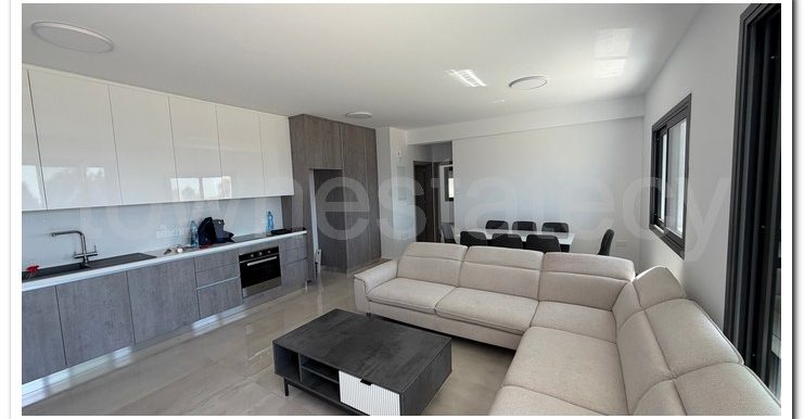 PETROS ERIM 1ST FLOOR (14)
