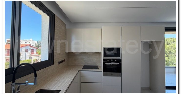 PETROS ERIMI 2ND FLOOR (4)