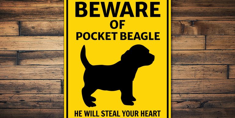 POCKET DOGS