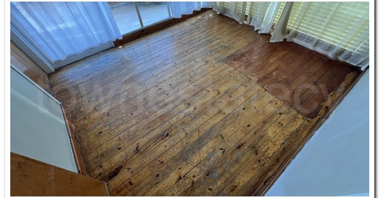 SAVVAS AGATHANGELOU (16)