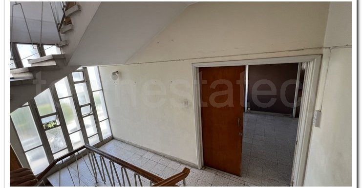 SAVVAS AGATHANGELOU (18)