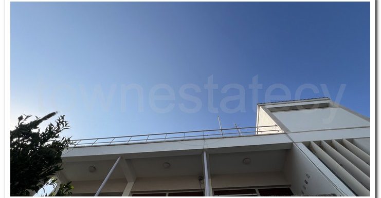 SAVVAS AGATHANGELOU (19)