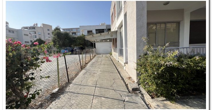 SAVVAS AGATHANGELOU (21)